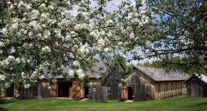 The barns were rebuilt according to designs that Almanzo drew from memory. Photo by Connie Jenkins