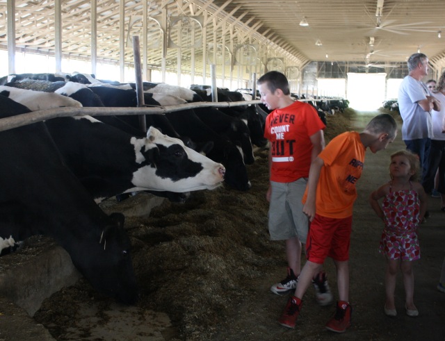 A lot of conversations take place during a barn tour. June is Dairy Month so it's the perfect time to learn more about dairy farming. (Connie Jenkins Photo)
